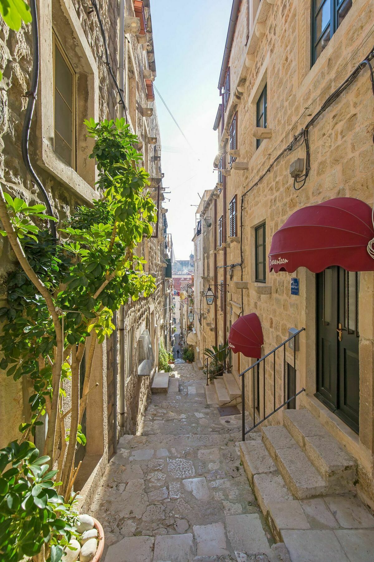 Apartments And Room Le Petit Nono Dubrovnik Dış mekan fotoğraf